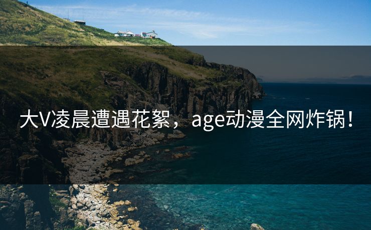 大V凌晨遭遇花絮，age动漫全网炸锅！