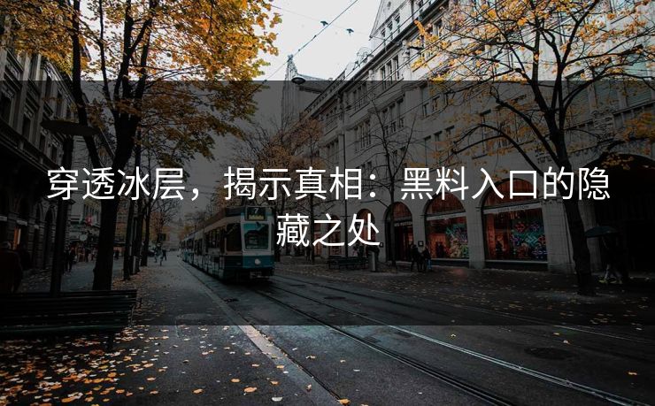 穿透冰层,揭示真相:黑料入口的隐藏之处